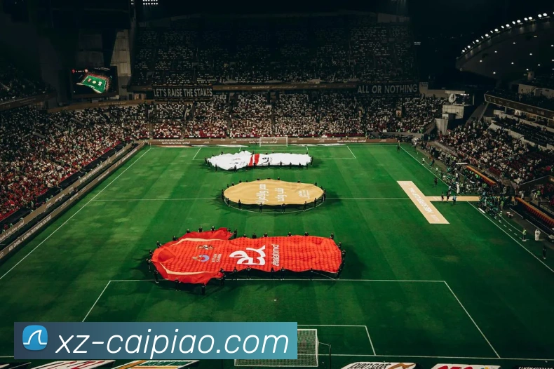 大发彩票APP 封面图